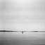 Rose Bay