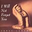 I Will Not Forget You