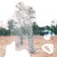 New Land