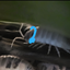 Avatar for BuginHeadphones