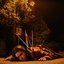 Eggshells - Single