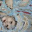 Superfeeling - Single