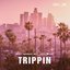 Trippin' (feat. Josh Wood) - Single