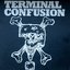 Terminal Confusion