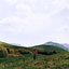 2000