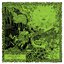 Crags - Single