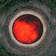 The Redshift