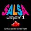 Salsa Sensual, Vol. 1