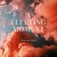 A Fleeting Moment - Single