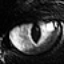 Avatar for mlozanov