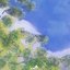 Summer Breeze