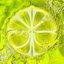 LEMONADE - The 2nd Album