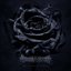 Rose Water Black