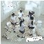 Glow Up (English Version) - Single