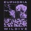 Euphoria - Single