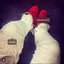 Louboutins Balmain Freestyle - Single