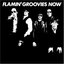 Flamin' Groovies Now