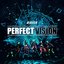 PERFECT VISION - Single