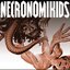 Necronomikids