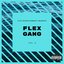 Flex Gang, Vol. 2 [Explicit]