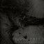 The Last Trace of the Imprudent