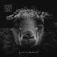 Black Sheep - Single
