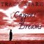 Canvas of Dreams