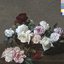 Power, Corruption, and Lies