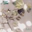 Recitals - EP