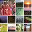 One Year of Songs
