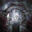 33° Alternate Realities