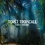 Forêt tropicale