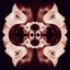 Dream Within a Dream / Red Lava