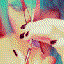 Avatar di cherryvee