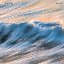 Fluid