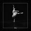 Swan Lake (Techno Mix)