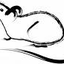 Avatar für LadyGrey3783