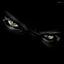 Avatar for loki2104