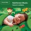 Rainforest Music: Nature's Lullabies