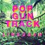 Popgun Track