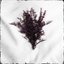 Limerence