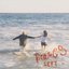 Braces - Single