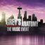 Grey`s Anatomy: The Musical Event