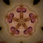 Avatar di luishoracio2
