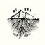 Deep Roots