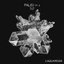 Paleo, Pt. 2 - Single