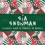Snowman (Slowed Down & Snowed In Remix) - Single