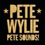 Pete Sounds!