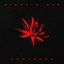 Night & Day / Somebody