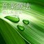 音楽療法 ~ 眠くなる癒し系音楽 (ヒーリングミュージック)